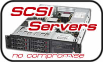Powerful SCSI Dedicated Servers, either Windows 2000, Linux or FreeBSD, available with RAID